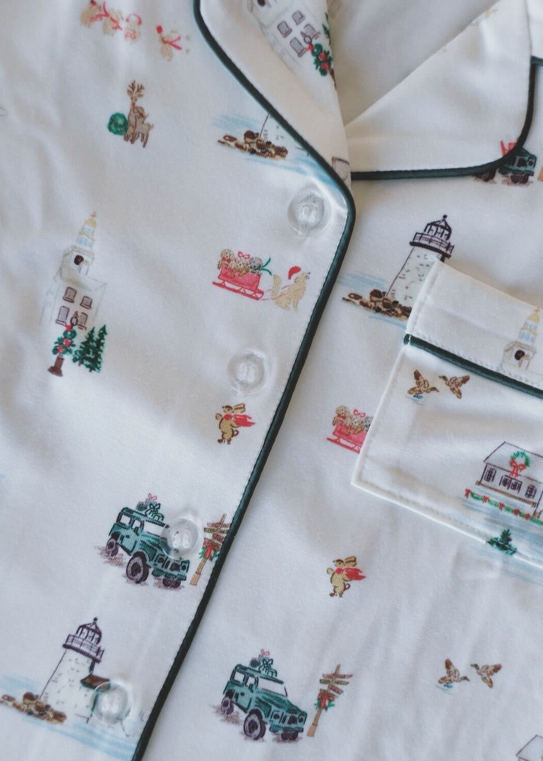 Men's Pajama Set in Coastal Christmas