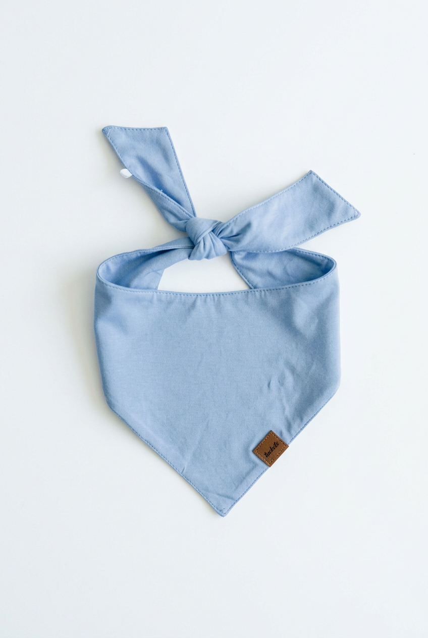 Bamboo Dog Bandana